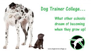 Dog Trainer College... What other schools dream of becoming when they grow up! 