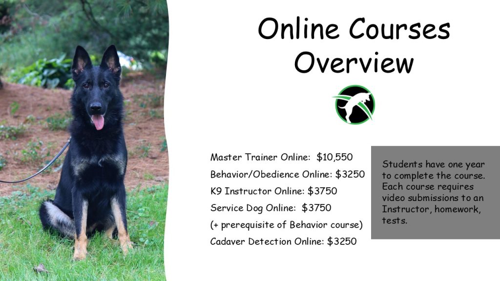 online dog trainer certification